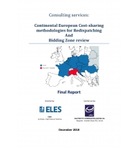 Consulting services: Continental European Cost-Sharing Methodologies for Redispatching and Bidding Zone Review Study