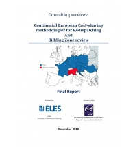 Konsultantske usluge: Metodologije za raspodelu troškova usled redispečinga u Kontinentalnoj Evropi i revizija studije o Cenovnim zonama
