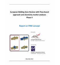 Review with Flow-based Approach and Electricity Market Analyses  (Phase II)