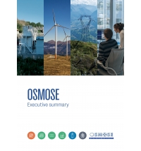OSMOSE - Optimal System-Mix Of flexibility Solutions for European electricity