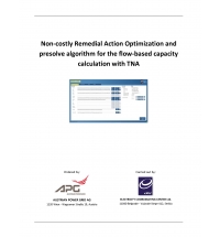Non-costly Remedial Action Optimization and Presolve algorithm for the Flow-Based Capacity Calculation with TNA