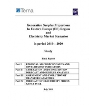 Generation surplus projections in Eastern Europe (EE) region and electricity market scenarios in period 2010 – 2020