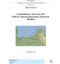 EMAL Interconnection Network Studies