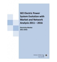 Electric Power System Evolution with Market and Network Analysis 