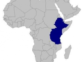 Eastern Africa (Ethiopia, Burundi, Kenya, Tanzania, Rwanda and Uganda)