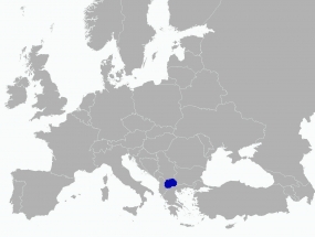 Implementation of auctioning for Transmission capacities allocation for Electric Power System of Macedonia